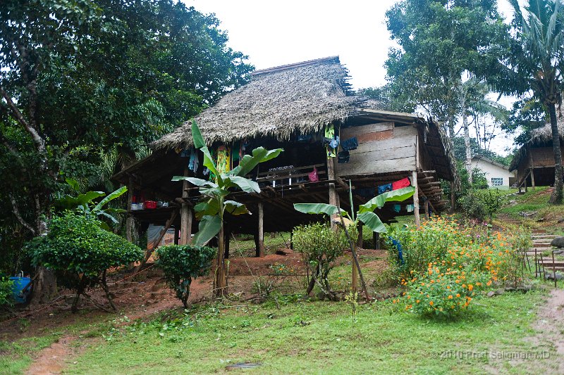 20101203_115334 D3.jpg - Domestic quarters are built on stilts as a protection against floods and jaguars